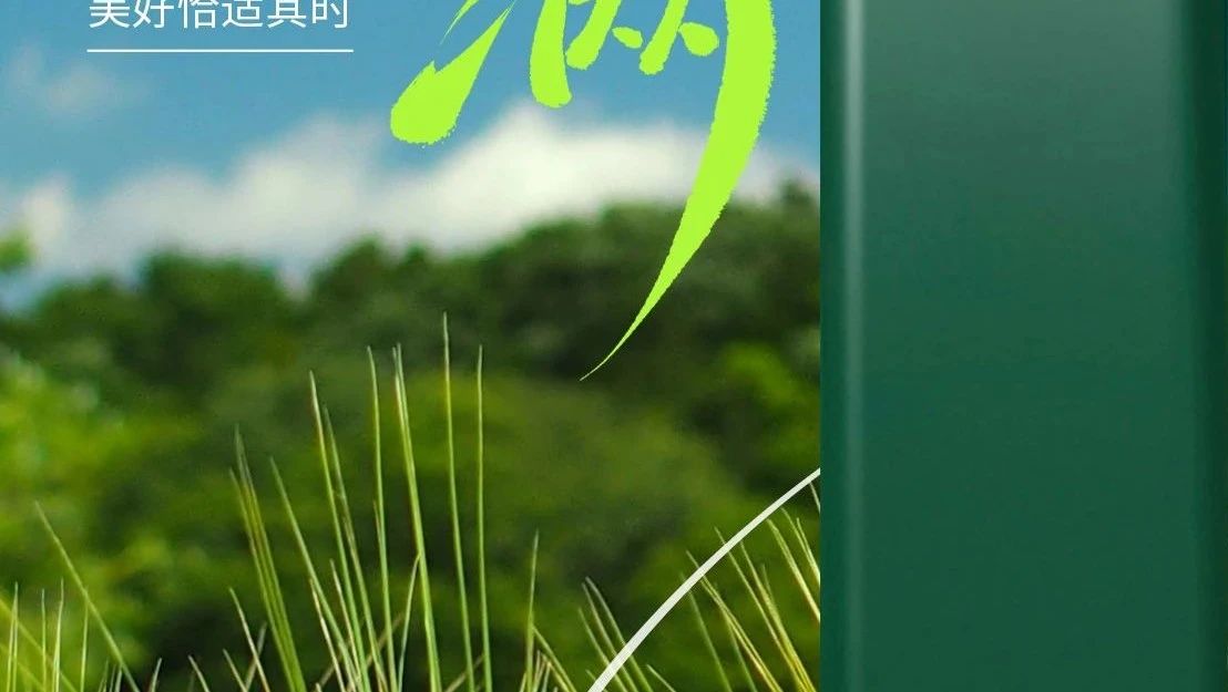 高登铝材 | 小满未满  匠心至满